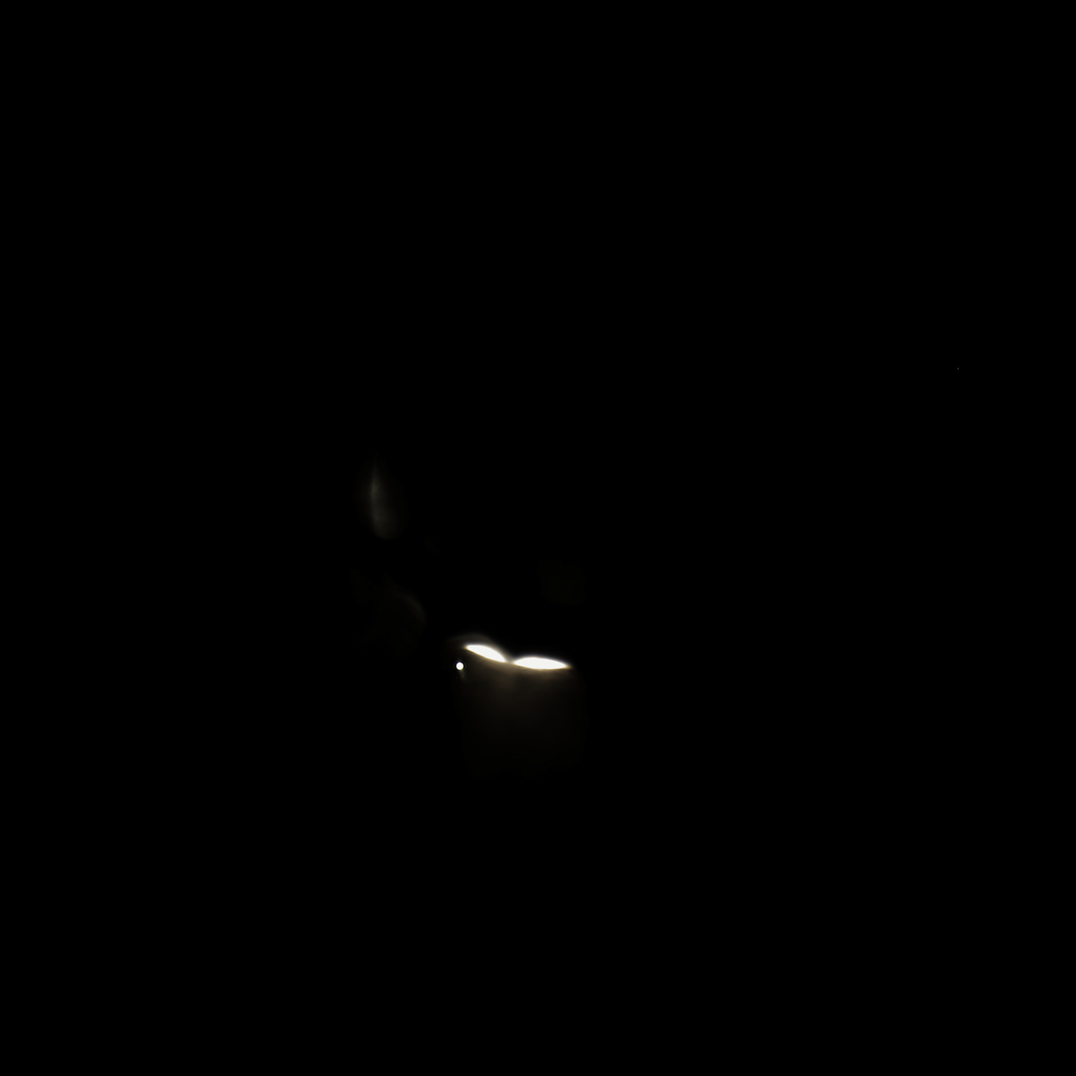 Jupiter occultation viewed from my backyard with a Vespera Pro 1 Telescope. Exposure time:  sec.
